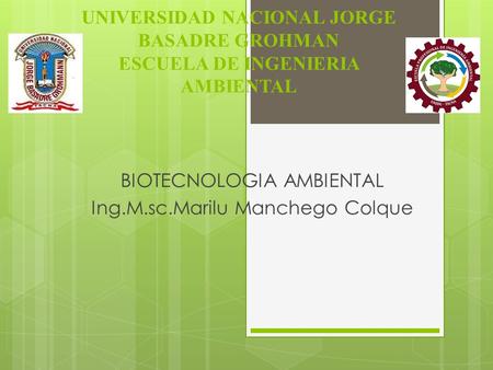 UNIVERSIDAD NACIONAL JORGE BASADRE GROHMAN ESCUELA DE INGENIERIA AMBIENTAL BIOTECNOLOGIA AMBIENTAL Ing.M.sc.Marilu Manchego Colque.