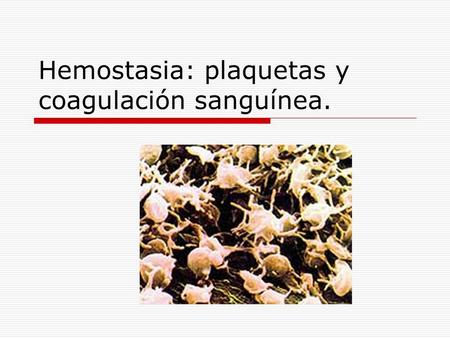 Hemostasia: plaquetas y coagulación sanguínea.. Hemostasia  Procesos por los que se previene la pérdida de sangre  Intervienen varios procesos: Espasmo.