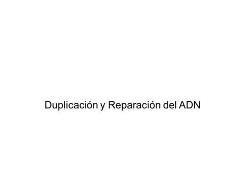 Duplicación y Reparación del ADN. Ciclo celular y replicación del ADN EL ADN es la molécula que permite perpetuar la vida. LA REPLICACIÓN DEL ADN: Es.