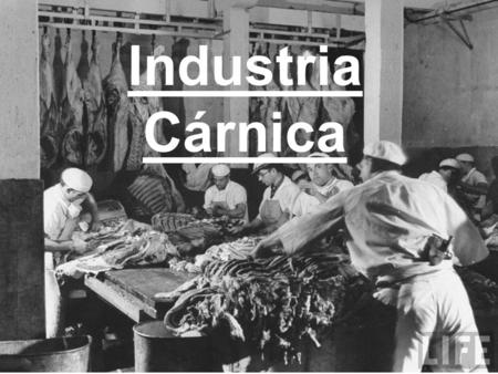 Industria Cárnica. Materia Prima La mayor parte del consumo de carne proviene de mamíferos, podemos dividir en sectores: –Bovino –Porcino –Caprino –Ovino.
