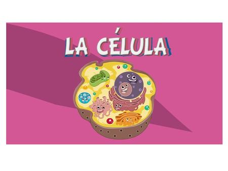 La célula El tamaño de las células es microscópico Todos los seres vivos estamos formados por una o más células Epidermis de cebolla.