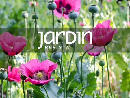 Es una publicación orientada a los amantes de la jardinería y del paisajismo. Contiene secciones fijas tales como la arquitectura paisajística, historia,