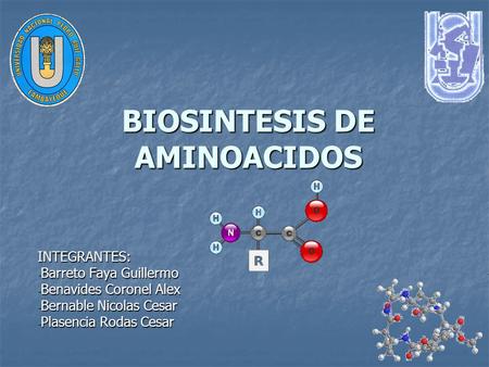 BIOSINTESIS DE AMINOACIDOS INTEGRANTES: - Barreto Faya Guillermo - Benavides Coronel Alex - Bernable Nicolas Cesar - Plasencia Rodas Cesar.