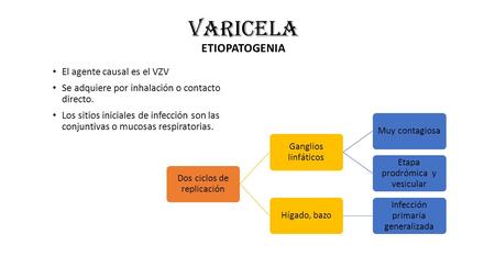 VARICELA ETIOPATOGENIA El agente causal es el VZV Se adquiere por inhalación o contacto directo. Los sitios iniciales de infección son las conjuntivas.
