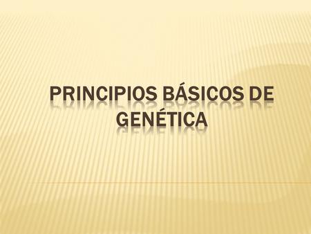 ¿Por qué los hermanos gemelos son físicamente idénticos? ¿Cómo explicamos los parecidos dentro de una familia? Por qué no nace un bebé a través un tomate?