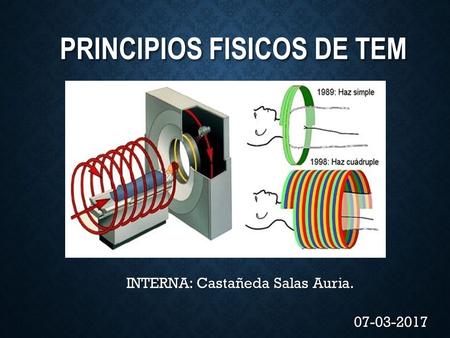 PRINCIPIOS FISICOS DE TEM INTERNA: Castañeda Salas Auria