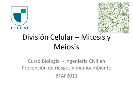 División Celular – Mitosis y Meiosis Curso Biología - Ingeniería Civil en Prevención de riesgos y medioambiente BTAF2011.