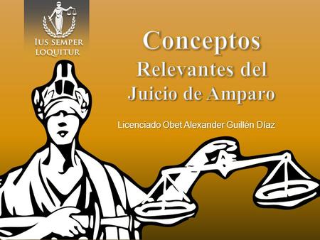 Conceptos relevantes del Juicio de Amparo