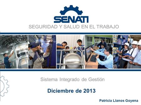 SEGURIDAD Y SALUD EN EL TRABAJO Sistema Integrado de Gestión Diciembre de 2013 Patricia Llanos Goyena.
