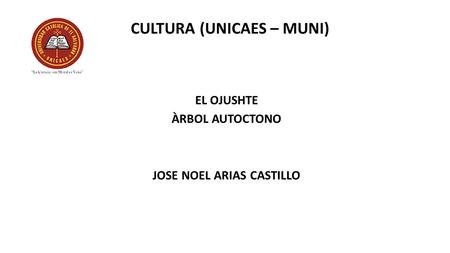 CULTURA (UNICAES – MUNI) EL OJUSHTE ÀRBOL AUTOCTONO JOSE NOEL ARIAS CASTILLO.