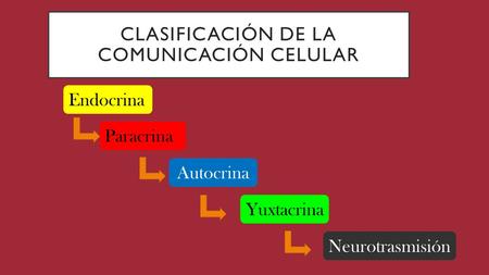 CLASIFICACIÓN DE LA COMUNICACIÓN CELULAR Endocrina Paracrina Autocrina Yuxtacrina Neurotrasmisión.