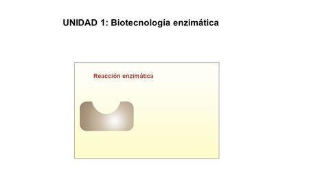 UNIDAD 1: Biotecnología enzimática. 1. Características generales. Las enzimas son proteínas que se comportan como catalizadores; es decir, aceleran la.