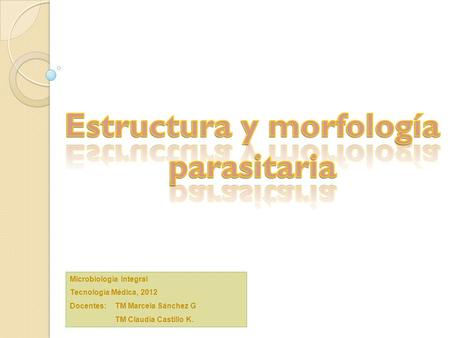 Microbiología Integral Tecnología Médica, 2012 Docentes: TM Marcela Sánchez G TM Claudia Castillo K.