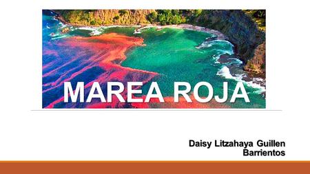 MAREA ROJA Daisy Litzahaya Guillen Barrientos. ¿Qué es la Marea Roja? Es un fenómeno natural del medio ambiente acuático que se caracteriza por un aumento.