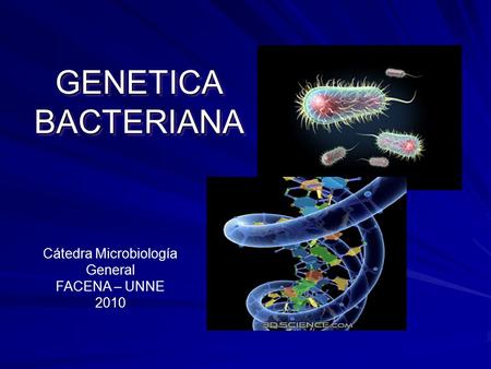 GENETICA BACTERIANA Cátedra Microbiología General FACENA – UNNE 2010.