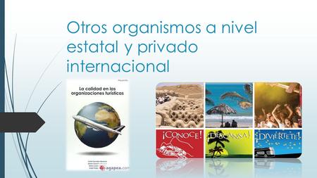 Otros organismos a nivel estatal y privado internacional.