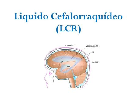 Liquido Cefalorraquídeo (LCR). LCR Es un líquido claro e incoloro que baña las superficies externas del encéfalo y la médula espinal, actuando como amortiguador.