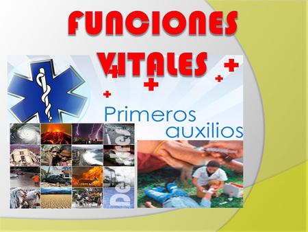FUNCIONES VITALES La triada constituida por el pulso, respiración y presión arterial junto con la temperatura, suelen considerarse el indicador basal.