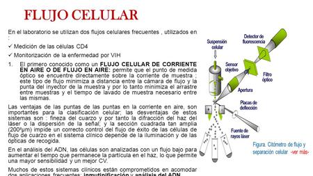 FLUJO CELULAR En el laboratorio se utilizan dos flujos celulares frecuentes, utilizados en : Medición de las células CD4 Monitorización de la enfermedad.