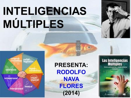 1 INTELIGENCIAS MÚLTIPLES PRESENTA: RODOLFO NAVA FLORES (2014)