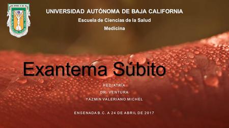 Exantema Súbito PEDIATRÍA DR. VENTURA YAZMIN VALERIANO MICHEL ENSENADA B.C. A 24 DE ABRIL DE 2017.