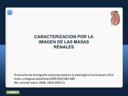 Inicio CARACTERIZACION POR LA IMAGEN DE LAS MASAS RENALES Protocolos de tomografía computarizada en la patología urinaria seram 2014 Actas urológicas españolas.