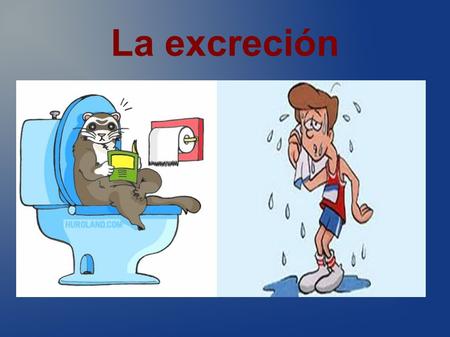 La excreción. 