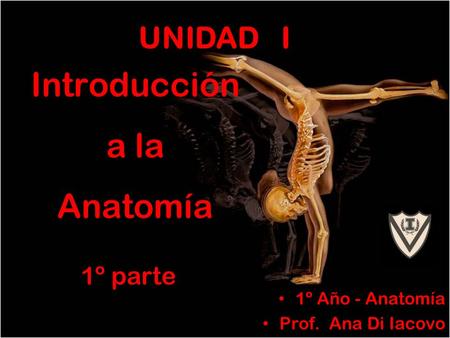 Introducción a la Anatomía 1º Año - Anatomía Prof. Ana Di Iacovo UNIDAD I 1º parte.