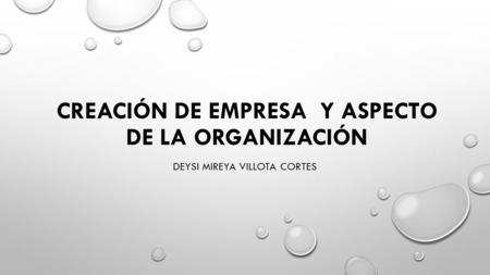 CREACIÓN DE EMPRESA Y ASPECTO DE LA ORGANIZACIÓN DEYSI MIREYA VILLOTA CORTES.