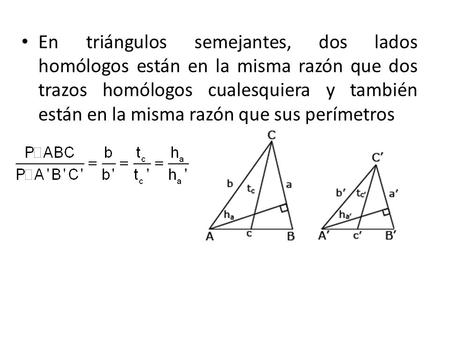 En triángulos semejantes, dos lados homólogos están en la misma razón que dos trazos homólogos cualesquiera y también están en la misma razón que sus perímetros.