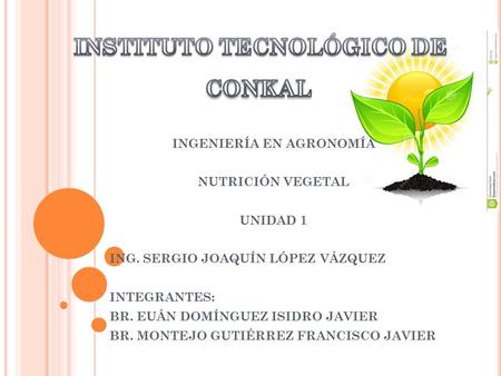 INGENIERÍA EN AGRONOMÍA NUTRICIÓN VEGETAL UNIDAD 1 ING. SERGIO JOAQUÍN LÓPEZ VÁZQUEZ INTEGRANTES: BR. EUÁN DOMÍNGUEZ ISIDRO JAVIER BR. MONTEJO GUTIÉRREZ.