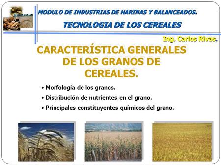 MODULO DE INDUSTRIAS DE HARINAS Y BALANCEADOS. TECNOLOGIA DE LOS CEREALES MODULO DE INDUSTRIAS DE HARINAS Y BALANCEADOS. TECNOLOGIA DE LOS CEREALES Ing.