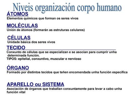 CÉLULAS Unidade básica dos seres vivos