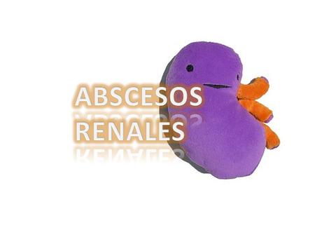 Es una colección localizada de material purulento en el parénquima renal. RenalPerirrenal colección rompe la cápsula renal y queda confinada a la fascia.