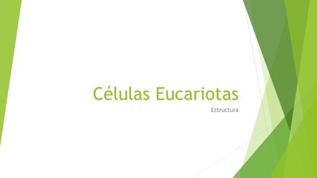 Células Eucariotas Estructura. La Célula  Es la Unidad Basica, fundamental y estructural de Vida.