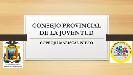 CONSEJO PROVINCIAL DE LA JUVENTUD COPROJU MARISCAL NIETO.