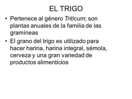 EL TRIGO Pertenece al género Triticum; son plantas anuales de la familia de las gramíneas El grano del trigo es utilizado para hacer harina, harina integral,