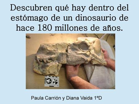 Descubren qué hay dentro del estómago de un dinosaurio de hace 180 millones de años. Paula Carrión y Diana Vaida 1ºD.
