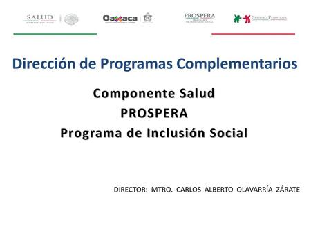 Dirección de Programas Complementarios Programa de Inclusión Social