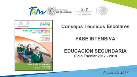 Consejos Técnicos Escolares
