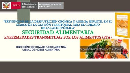 DIRECCIÓN EJECUTIVA DE SALUD AMBIENTAL UNIDAD DE HIGIENE ALIMENTARIA