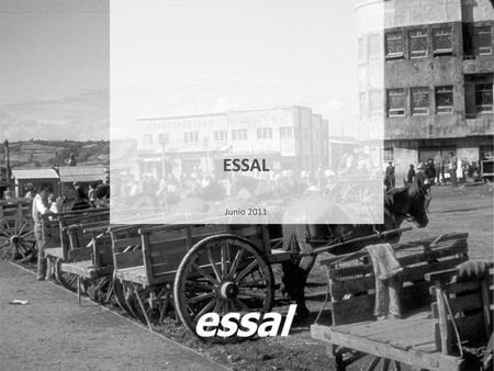 ESSAL Junio 2011 Antes de proceder al desarrollo de la Tabla expuesta……, me permito dirigir a ustedes unas palabras …….sobre los aspectos más destacados.