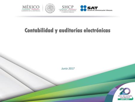 Contabilidad y auditorías electrónicas