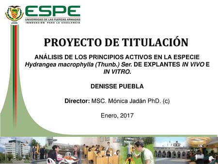 PROYECTO DE TITULACIÓN