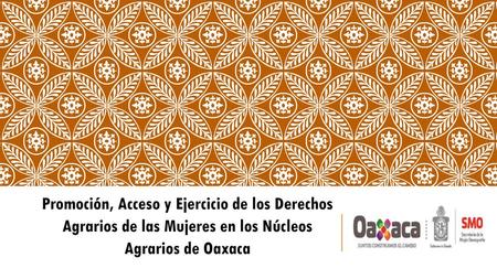 Promoción, Acceso y Ejercicio de los Derechos Agrarios de las Mujeres en los Núcleos Agrarios de Oaxaca.