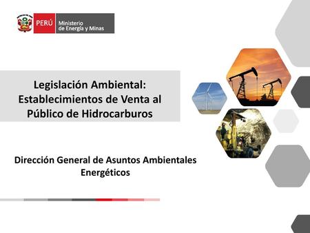 Dirección General de Asuntos Ambientales Energéticos