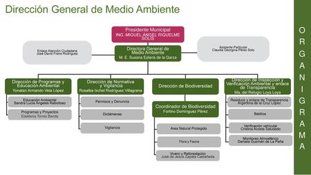 Dirección General de Medio Ambiente