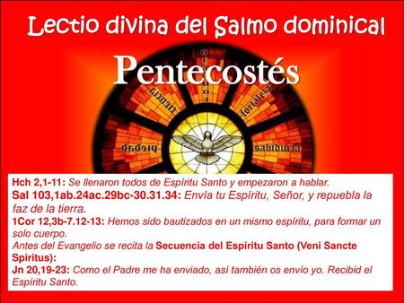 Lectio divina del Salmo dominical