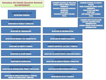 Estructura del Comité Ejecutivo Nacional