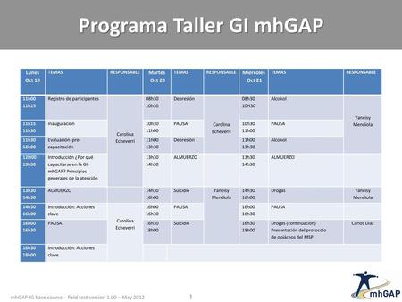 Programa Taller GI mhGAP